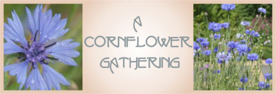 A Cornflower Gathering