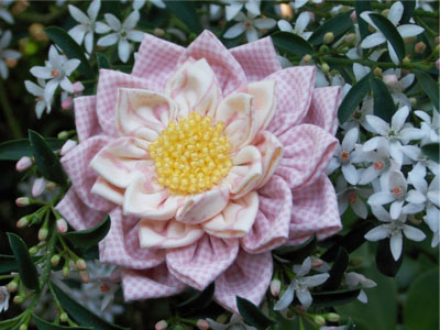 Waterlily Dreaming Brooch by One Day In May 3